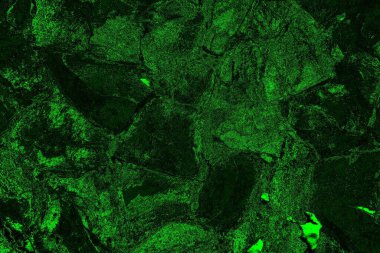 soyut siyah yeşil doku, arkaplan, duvar kağıdını kopyala