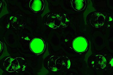 Yeşil ve siyah doku ve arkaplan, boşluğu kopyala