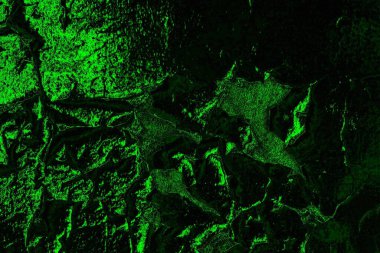 soyut yeşil doku, arkaplan, duvar kağıdını kopyala