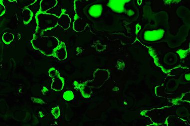 soyut siyah yeşil doku, arkaplan, duvar kağıdını kopyala