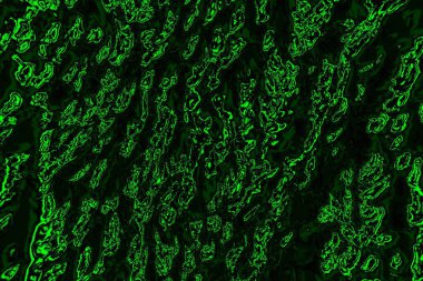 Yeşil ve siyah doku ve arkaplan, boşluğu kopyala