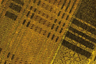 Kırmızı sarı ve siyah renkli kirli duvar, desenli arka plan.