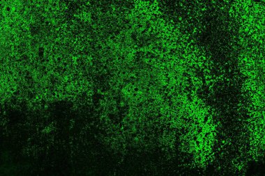 Yeşil ve siyah doku ve arkaplan, boşluğu kopyala