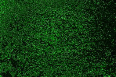 soyut yeşil doku, arkaplan, duvar kağıdını kopyala