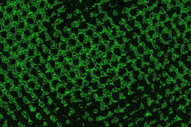 Yeşil ve siyah doku ve arkaplan, boşluğu kopyala