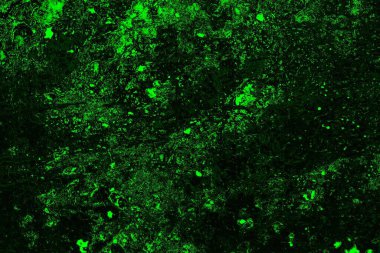 soyut siyah yeşil doku, arkaplan, duvar kağıdını kopyala