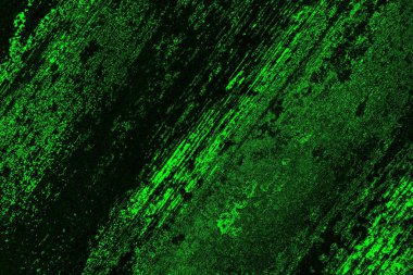 soyut yeşil doku, arkaplan, duvar kağıdını kopyala