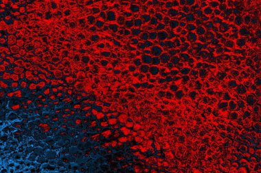 Polistiren köpük yakın plan. Bir sürü küçük ve büyük kabarcıklar stiroköpük doku arkaplanı.