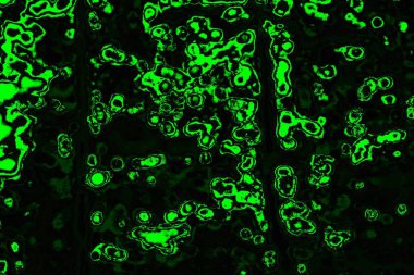 soyut Yeşil ve siyah doku ve arkaplan, boşluğu kopyala
