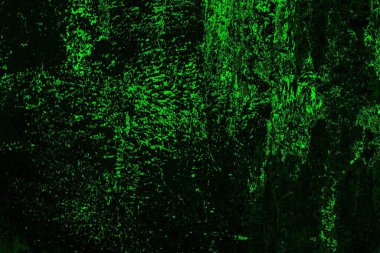 Yeşil ve siyah doku ve arkaplan, boşluğu kopyala