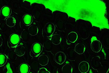 soyut siyah yeşil doku, arkaplan, duvar kağıdını kopyala