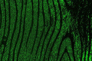 soyut yeşil ve siyah doku ve arkaplan, uzay duvar kağıdını kopyala