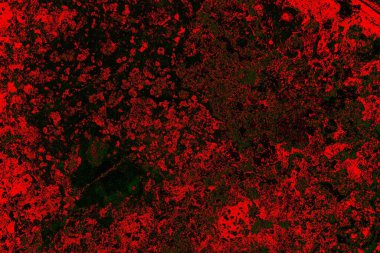 Dökülen boya paslı metal dokusu