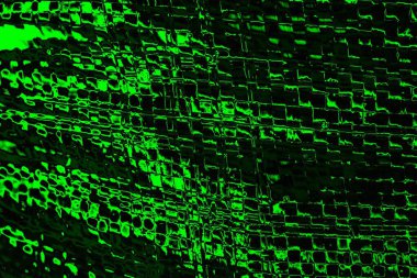 soyut siyah yeşil doku, arkaplan, duvar kağıdını kopyala