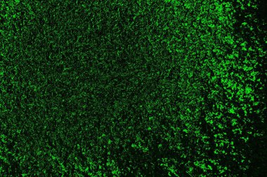 Yeşil ve siyah doku ve arkaplan, boşluğu kopyala