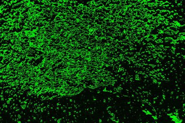 soyut siyah yeşil doku, arkaplan, duvar kağıdını kopyala