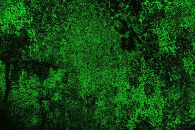 Yeşil ve siyah doku ve arkaplan, boşluğu kopyala