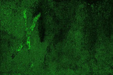 soyut yeşil ve siyah doku ve arkaplan, uzay duvar kağıdını kopyala