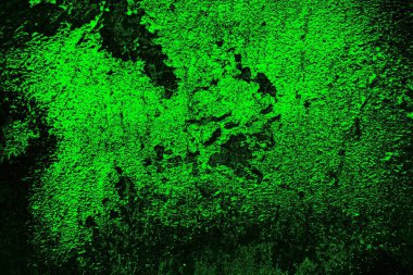 soyut yeşil doku, arkaplan, duvar kağıdını kopyala