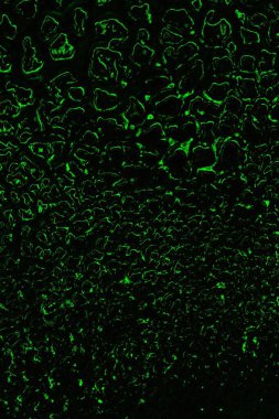 soyut siyah yeşil doku, arkaplan, duvar kağıdını kopyala