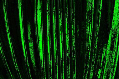 soyut siyah yeşil doku, arkaplan, duvar kağıdını kopyala