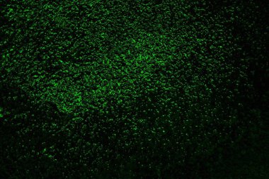 soyut yeşil doku, arkaplan, duvar kağıdını kopyala