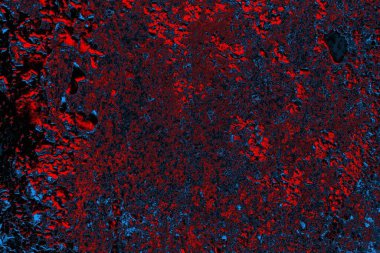 Dökülen boya paslı metal dokusu