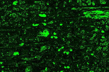 soyut siyah yeşil doku, arkaplan, duvar kağıdını kopyala