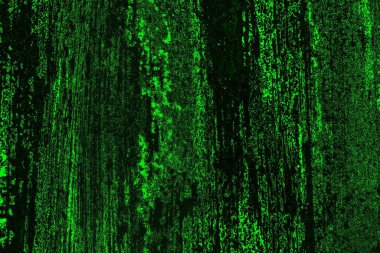 soyut yeşil doku, arkaplan, duvar kağıdını kopyala