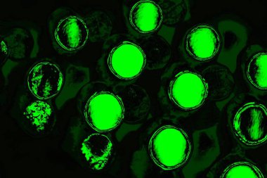 Yeşil ve siyah doku ve arkaplan, boşluğu kopyala