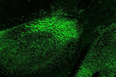 soyut siyah yeşil doku, arkaplan, duvar kağıdını kopyala