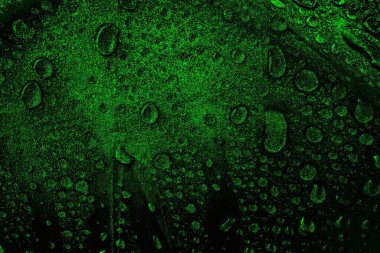 Yeşil ve siyah doku ve arkaplan, boşluğu kopyala