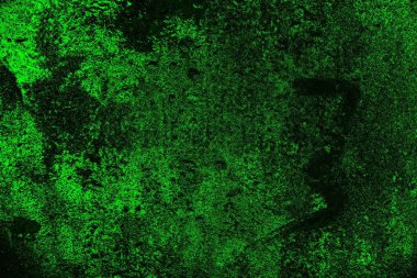 Yeşil ve siyah doku ve arkaplan, boşluğu kopyala