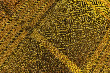 Kırmızı sarı ve siyah renkli kirli duvar, desenli arka plan.