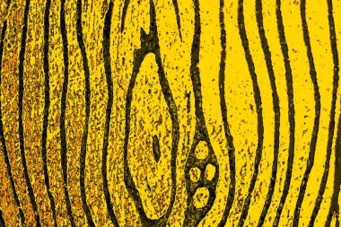 Kırmızı sarı ve siyah renkli kirli duvar, desenli arka plan.