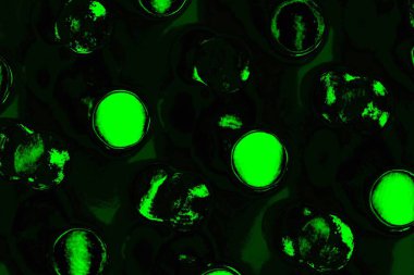 Yeşil ve siyah doku ve arkaplan, boşluğu kopyala