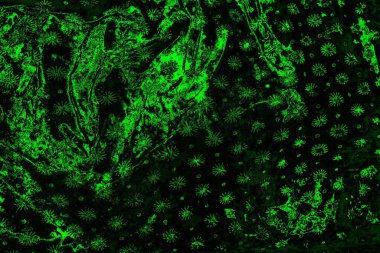 soyut yeşil ve siyah doku ve arkaplan, uzay duvar kağıdını kopyala