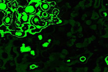 soyut Yeşil ve siyah doku ve arkaplan, boşluğu kopyala