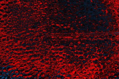 Polistiren köpük yakın plan. Bir sürü küçük ve büyük kabarcıklar stiroköpük doku arkaplanı.