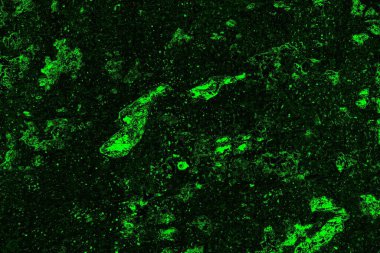 soyut siyah yeşil doku, arkaplan, duvar kağıdını kopyala