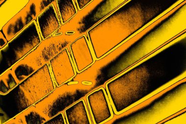 Kırmızı sarı ve siyah renkli kirli duvar, desenli arka plan.