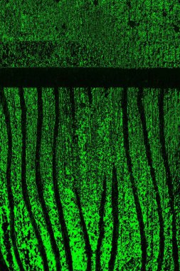 soyut yeşil ve siyah doku ve arkaplan, uzay duvar kağıdını kopyala