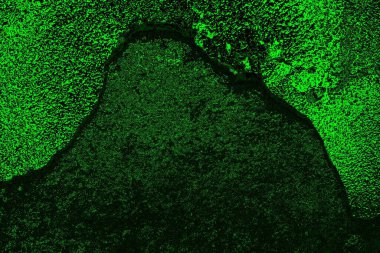 soyut yeşil doku, arkaplan, duvar kağıdını kopyala