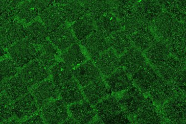 soyut siyah yeşil doku, arkaplan, duvar kağıdını kopyala