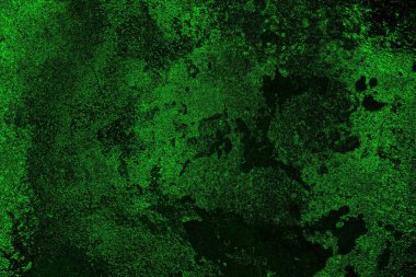 soyut yeşil doku, arkaplan, duvar kağıdını kopyala