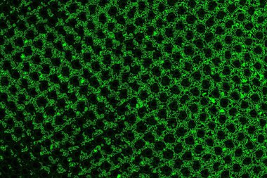 Yeşil ve siyah doku ve arkaplan, boşluğu kopyala