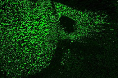 soyut siyah yeşil doku, arkaplan, duvar kağıdını kopyala