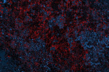 Dökülen boya paslı metal dokusu