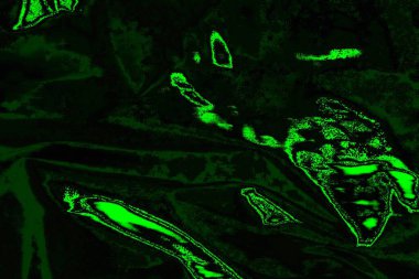 soyut Yeşil ve siyah doku ve arkaplan, boşluğu kopyala