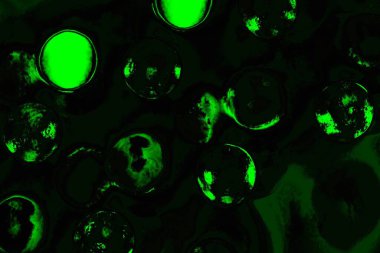 Yeşil ve siyah doku ve arkaplan, boşluğu kopyala